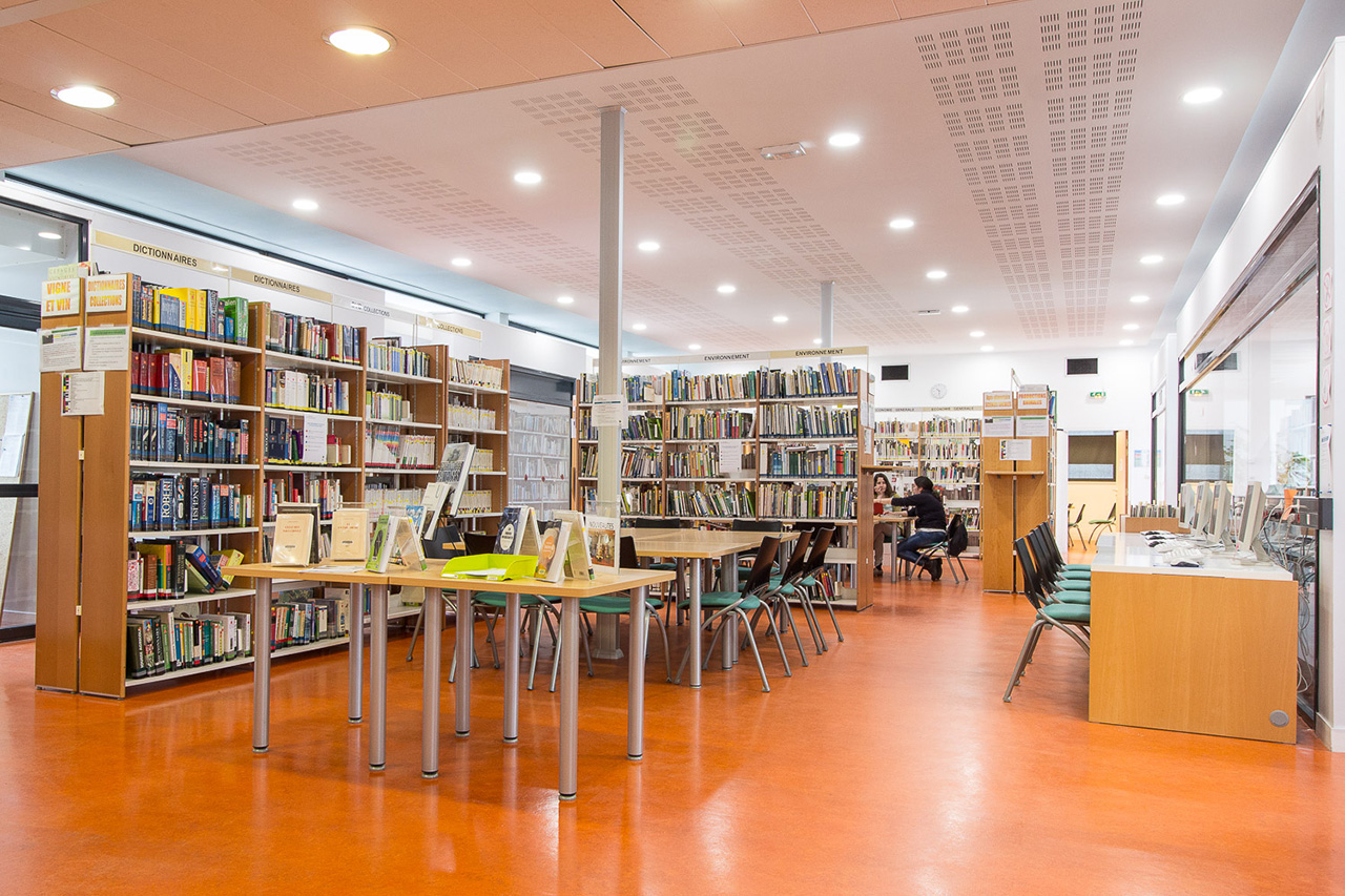 Bibliothèque