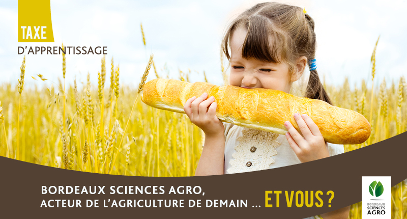 Taxe d’apprentissage 2023