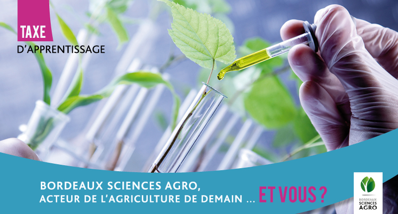 Taxe d’apprentissage 2023