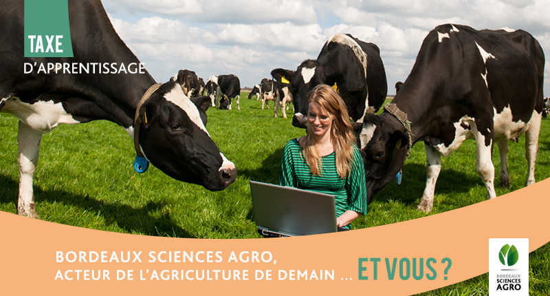 Taxe d’apprentissage 2023