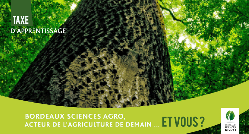 Taxe d’apprentissage 2023