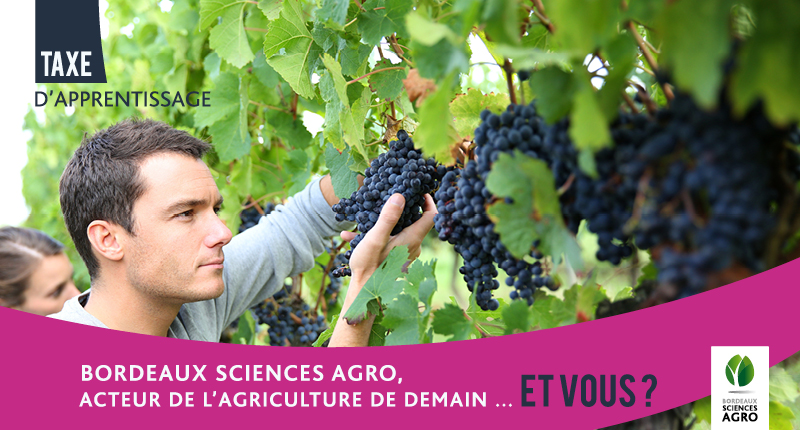 Taxe d’apprentissage 2023