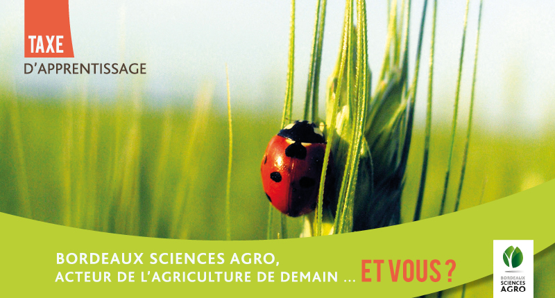 Taxe d’apprentissage 2023