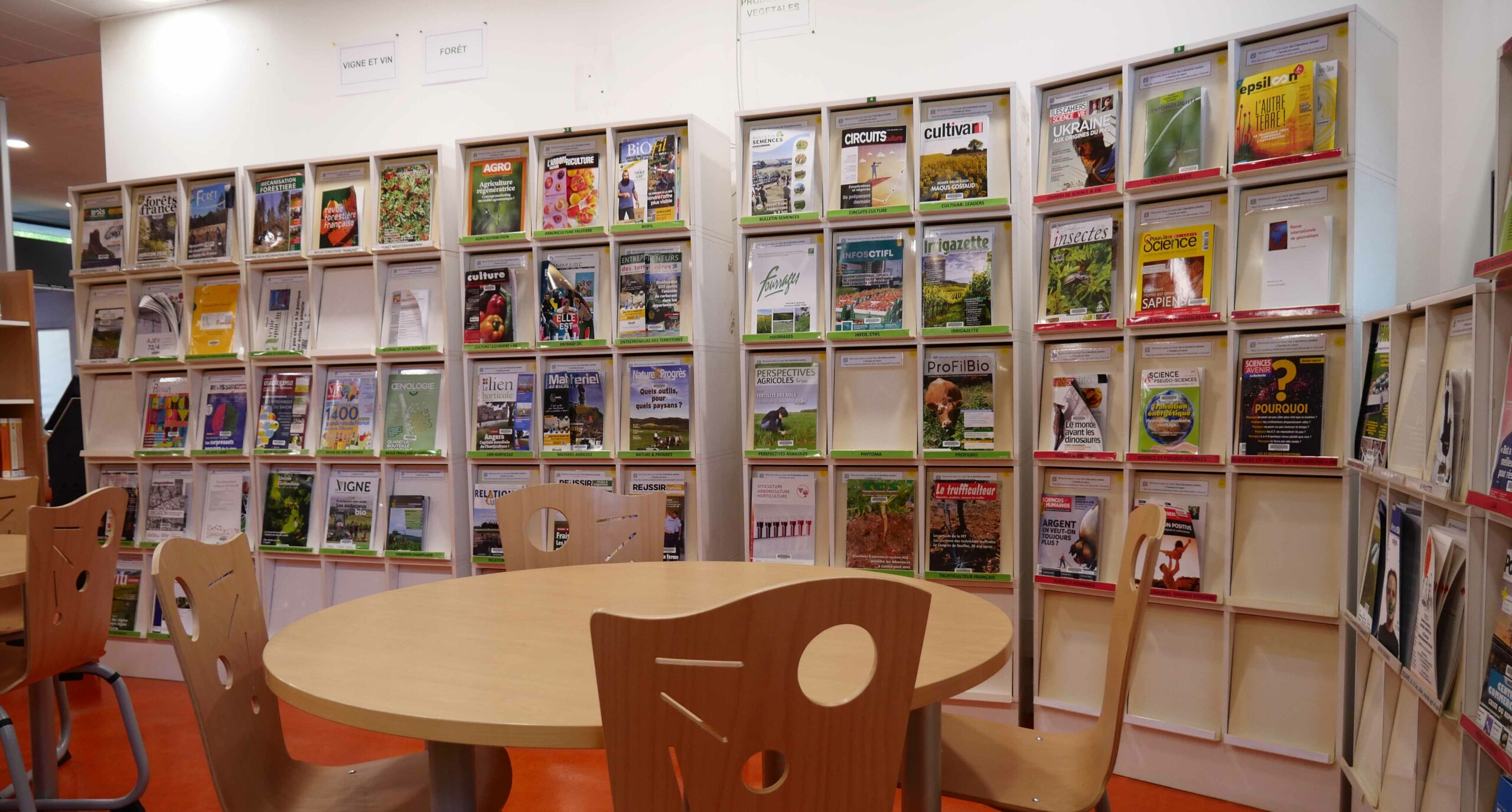 Bibliotheque_coin revues_800x430