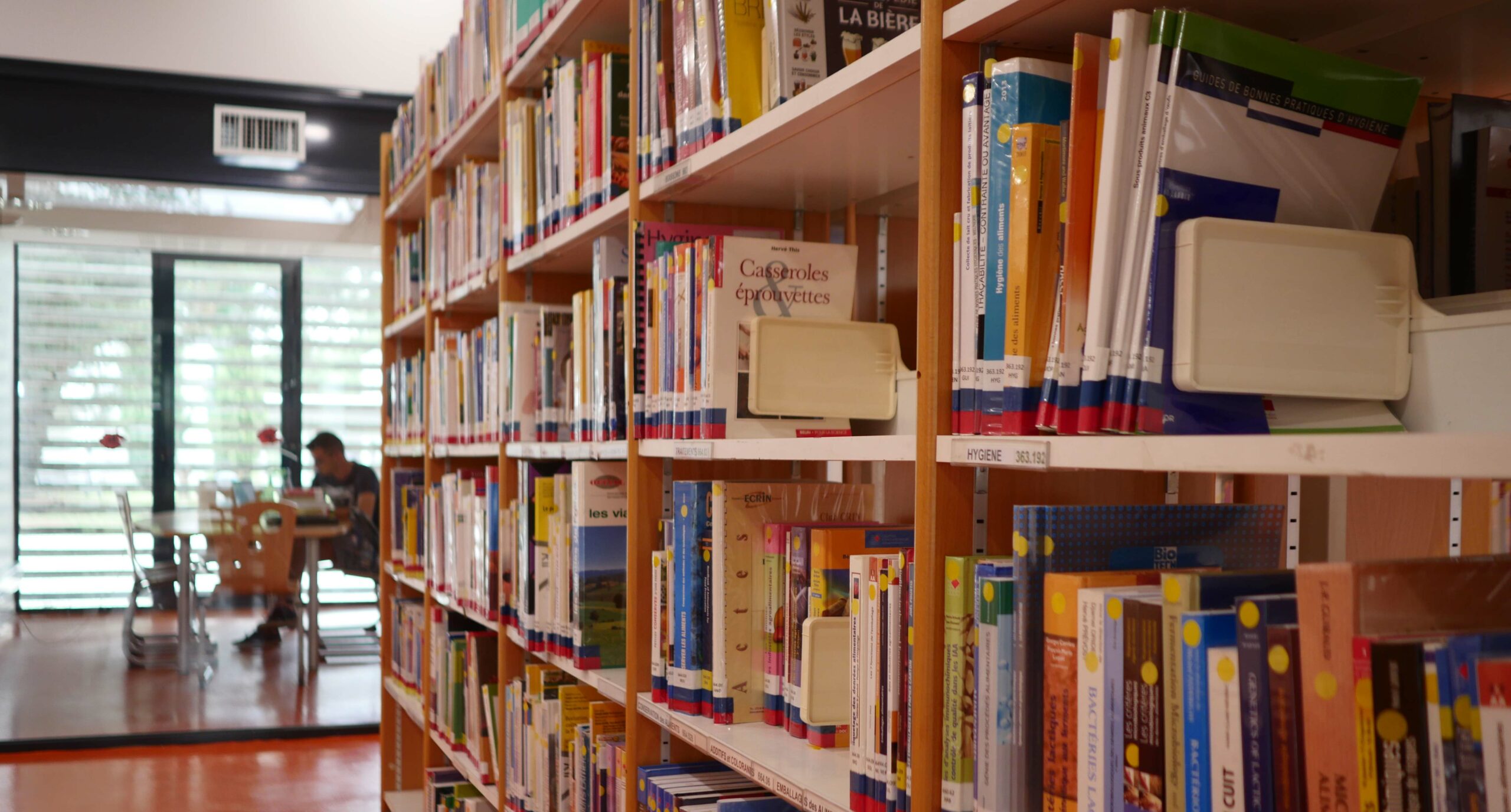 Bibliotheque_collection-salle travail_800x430