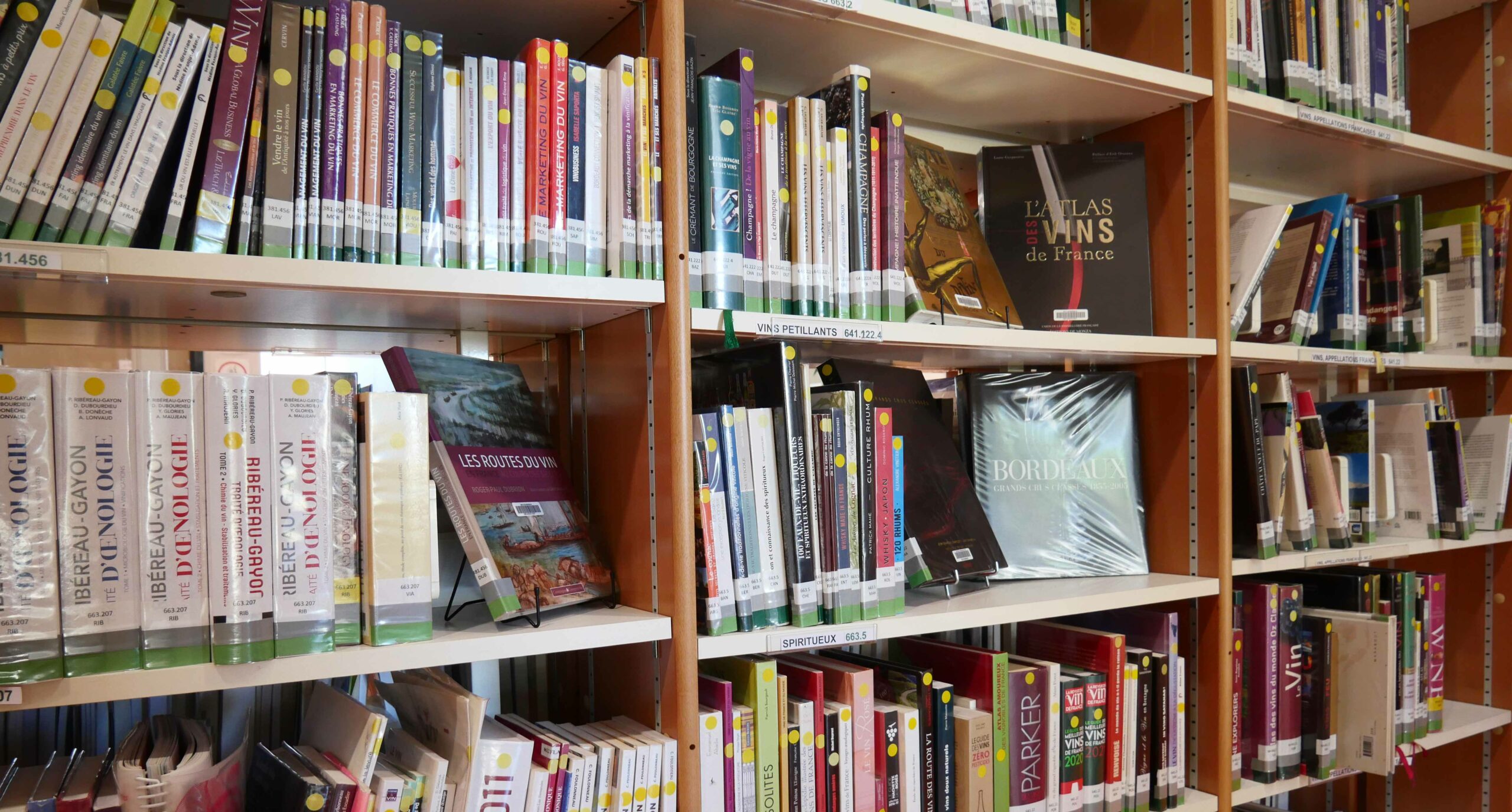 Bibliotheque_collection_800x430