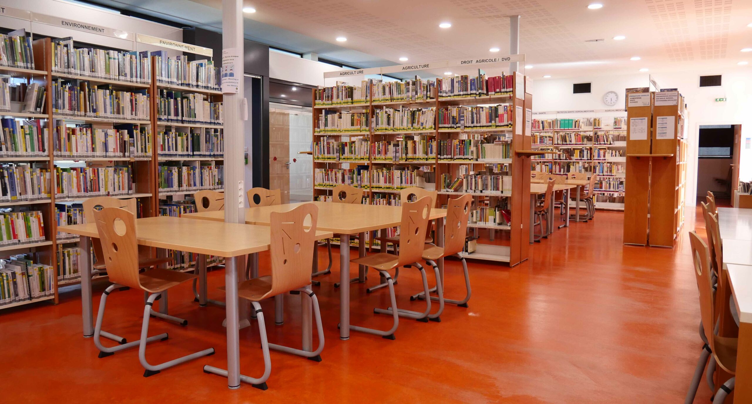 Bibliotheque_salle lecture_800x430