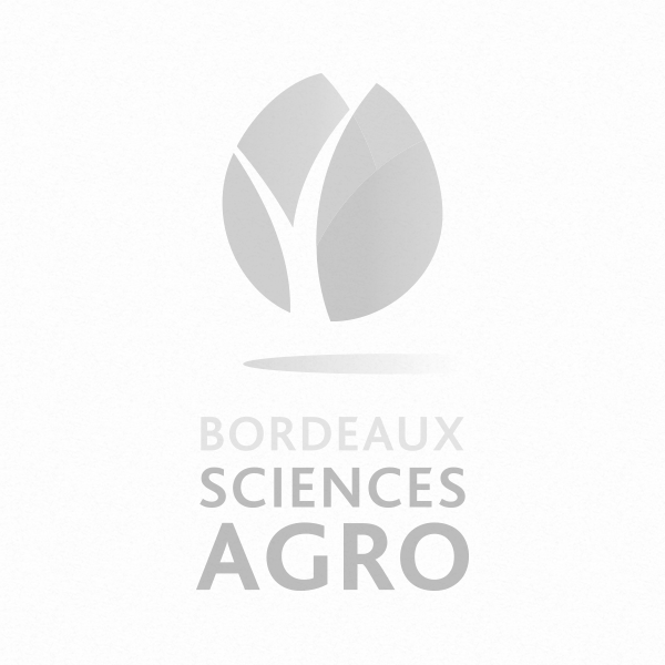 Appel à projet IDEX Bordeaux International Support