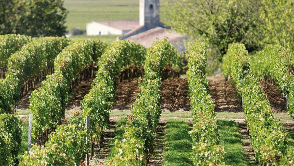 Mention « Gestion des territoires et développement local »