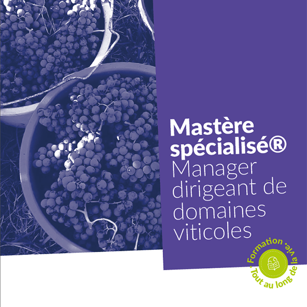 Mastère spécialisé® Manager dirigeant de domaines viticoles