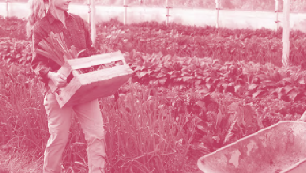 Agricultures, proximité et territoires d&rsquo;ici et d&rsquo;ailleurs