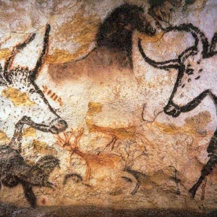 Des élèves ingénieurs forestiers mobilisés pour la sauvegarde des grottes de Lascaux