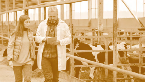 Management et installation en exploitation agricole