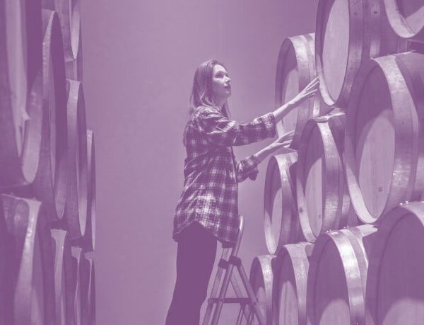 Bachelor’s degree in Viticulture and Enology
