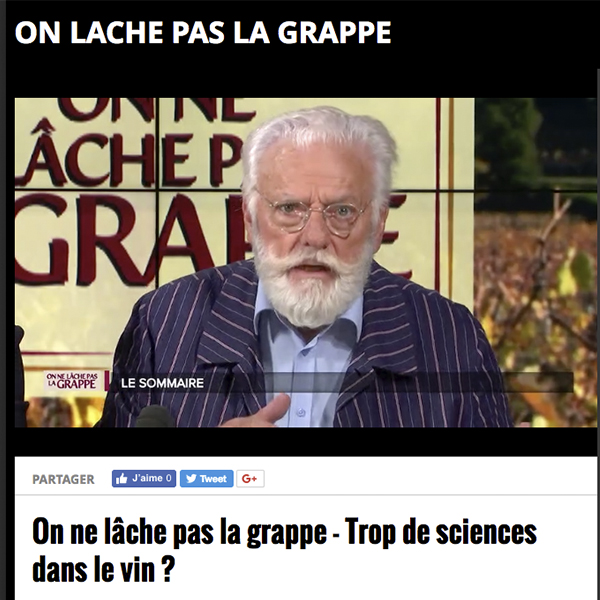 Revoir l’émission “On ne lâche pas la Grappe” – TV7 Bordeaux