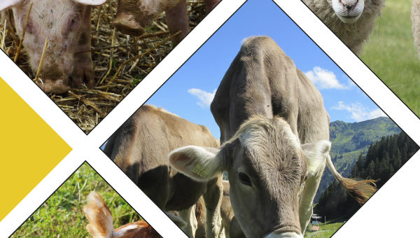 Master GloQual : Global Quality in European Livestock Production