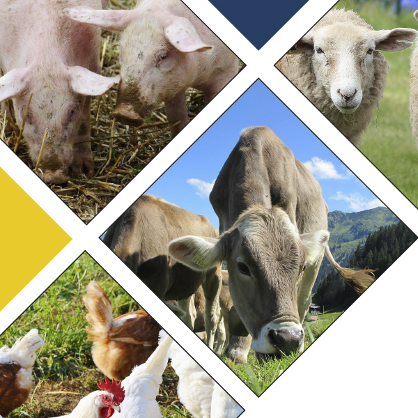 Master GloQual : Global Quality in European Livestock Production