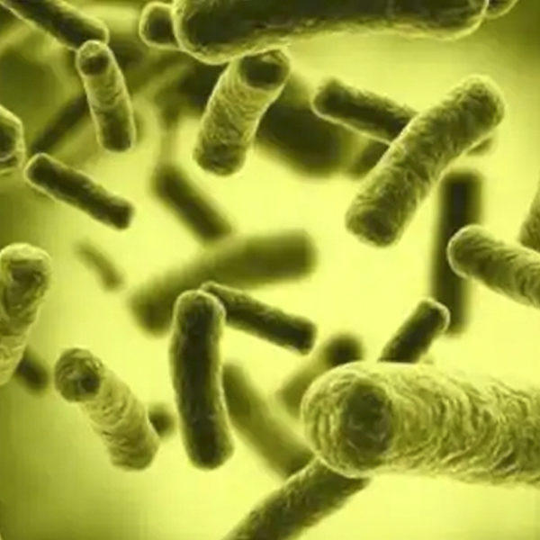 [Recherche] Journée ISVV – JoThème n°9 – “On a toujours besoin d&rsquo;un plus petit que soi”