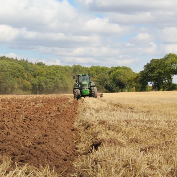 [Publication recherche] L’azote : un élément clé pour le développement de l’agriculture biologique