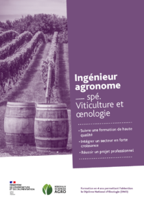 Viticulture et œnologie 2022_VF_WEB