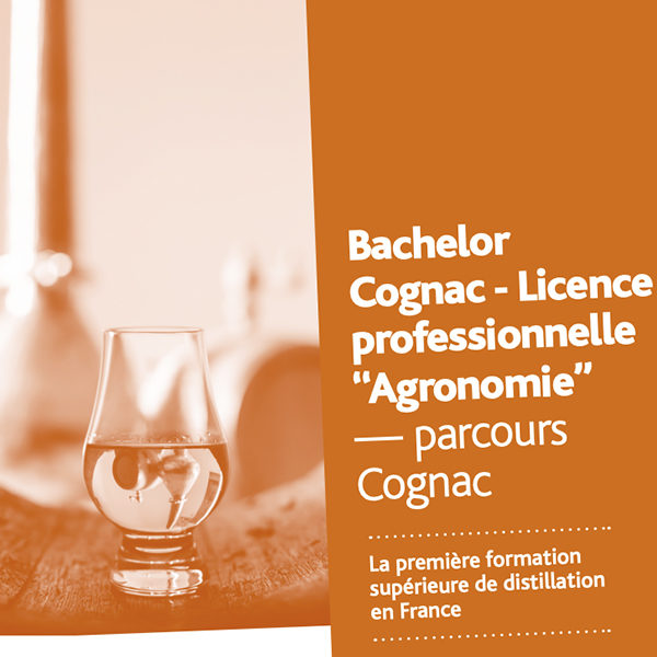 [NEW] Un Bachelor Cognac ouvre à Bordeaux Sciences Agro en septembre 2022 !