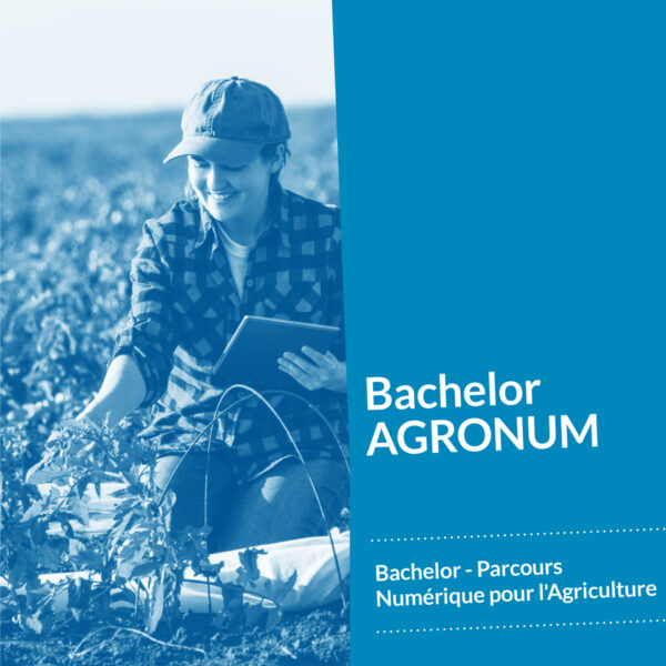 Bachelor AGRONUM