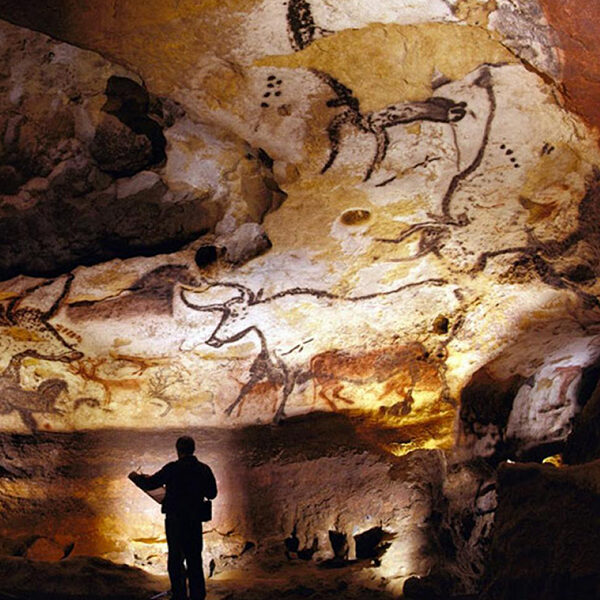 [Recherche] Conserver le site de la Grotte de Lascaux par la santé des arbres