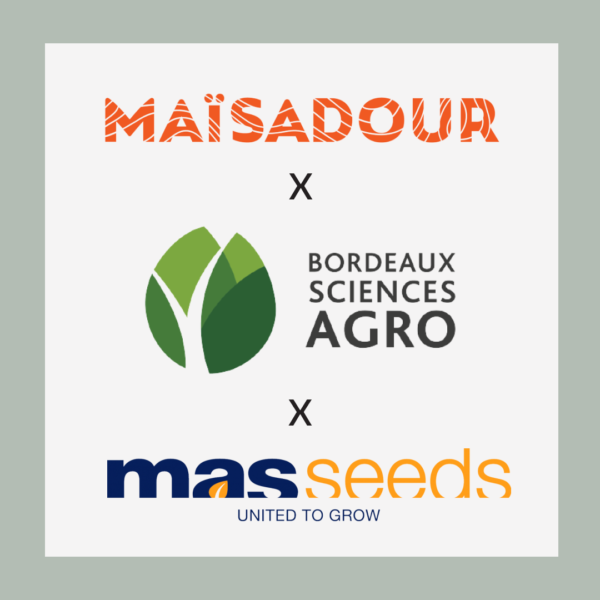[Partenariat] MAS Seeds et Maïsadour