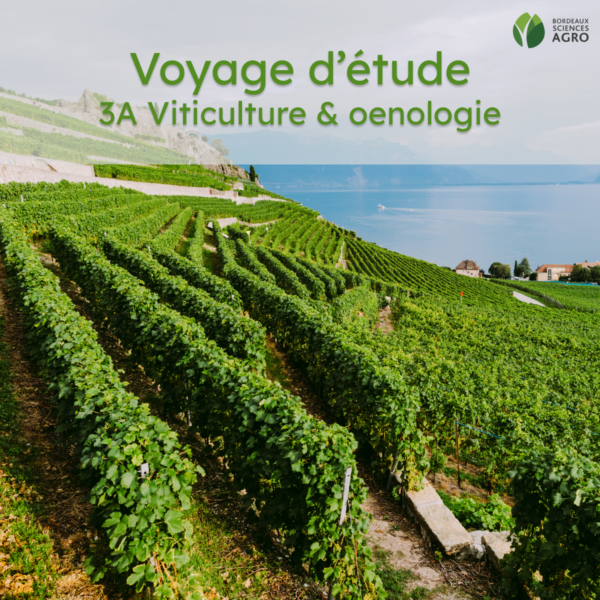 [Actu] Voyage en Suisse des étudiants 3A en viticulture & oenologie