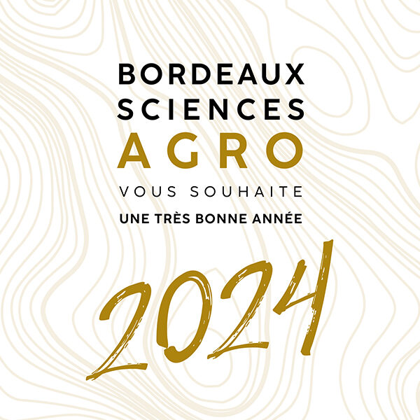 Meilleurs vœux pour 2024 !