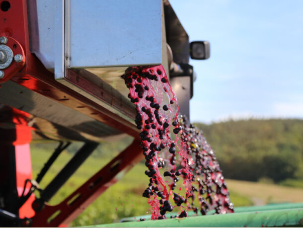 NAVI : innover pour la formation au service de la filière vigne & vin
