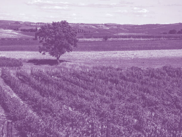 Parcours AGROVITI