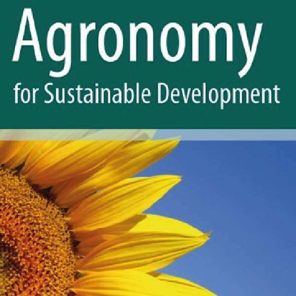 {Recherche} Des bilans contrastés en phosphore dans l’agriculture biologique : une gestion stratégique encore trop négligée