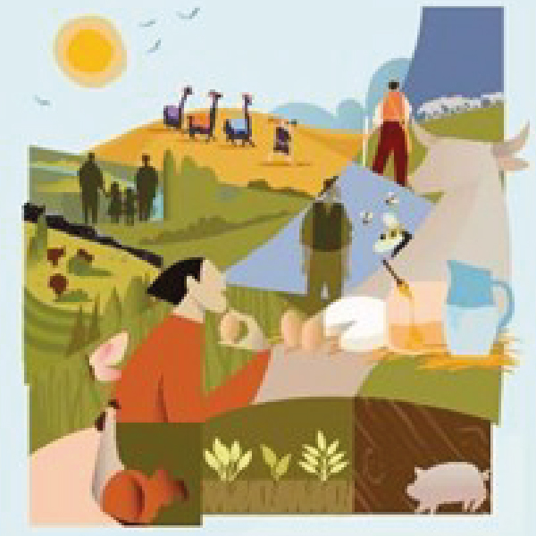 {recherche} Évaluation environnementale des systèmes d’élevage : un guide méthodologique international actualisé