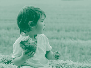 Spécialisation – Aliments Nutrition Santé