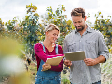 Consultant en viticulture et œnologie