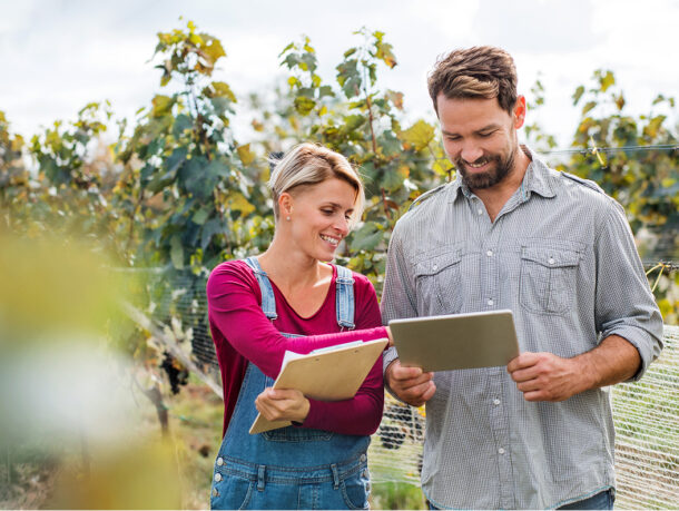 Consultant en viticulture et œnologie