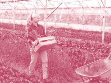 Spécialisation – Agriculture proximité et territoires d&rsquo;ici et d&rsquo;ailleurs