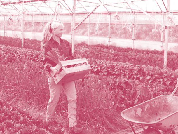 Spécialisation – Agriculture proximité et territoires d&rsquo;ici et d&rsquo;ailleurs