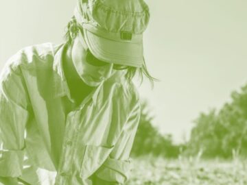 Spécialisation – Gestion des ressources et de l&rsquo;environnement