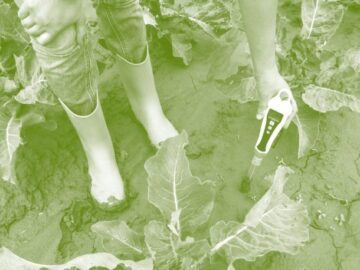 Spécialisation – Agroécologie et gestion des ressources
