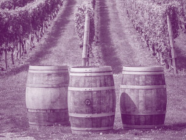 Spécialisation – Viticulture-Œnologie