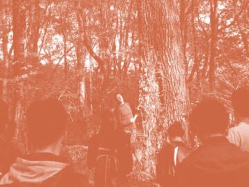 Spécialisation – Forêts : Gestion, Protection, Valorisation