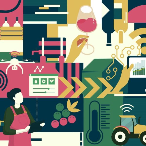 {Evènement} Vi-TIC – Innovations numériques et robotiques