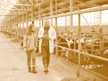 Spécialisation – Installation en exploitation agricole