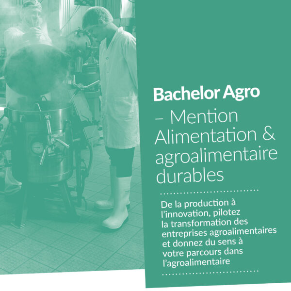 Bachelor Alimentation & Agroalimentaire durables