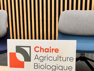 Chaires d’entreprises