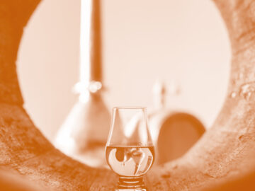 Bachelor Agro – mention Génie agronomique et transitions, parcours “Cognac et autres spiritueux ” 