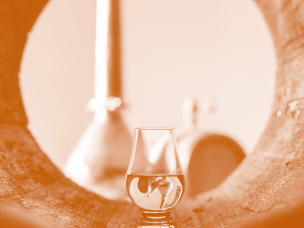 Bachelor Agro – mention Génie agronomique et transitions, parcours “Cognac et autres spiritueux ” 