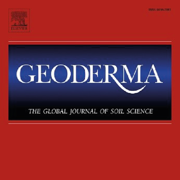 {recherche} Sous-bois forestier et fonctionnement des sols : un rôle encore sous-estimé